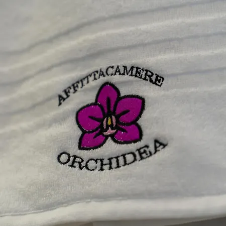 Affittacamere Orchidea For Tourists Hesperia Hosp Modena Exterior photo