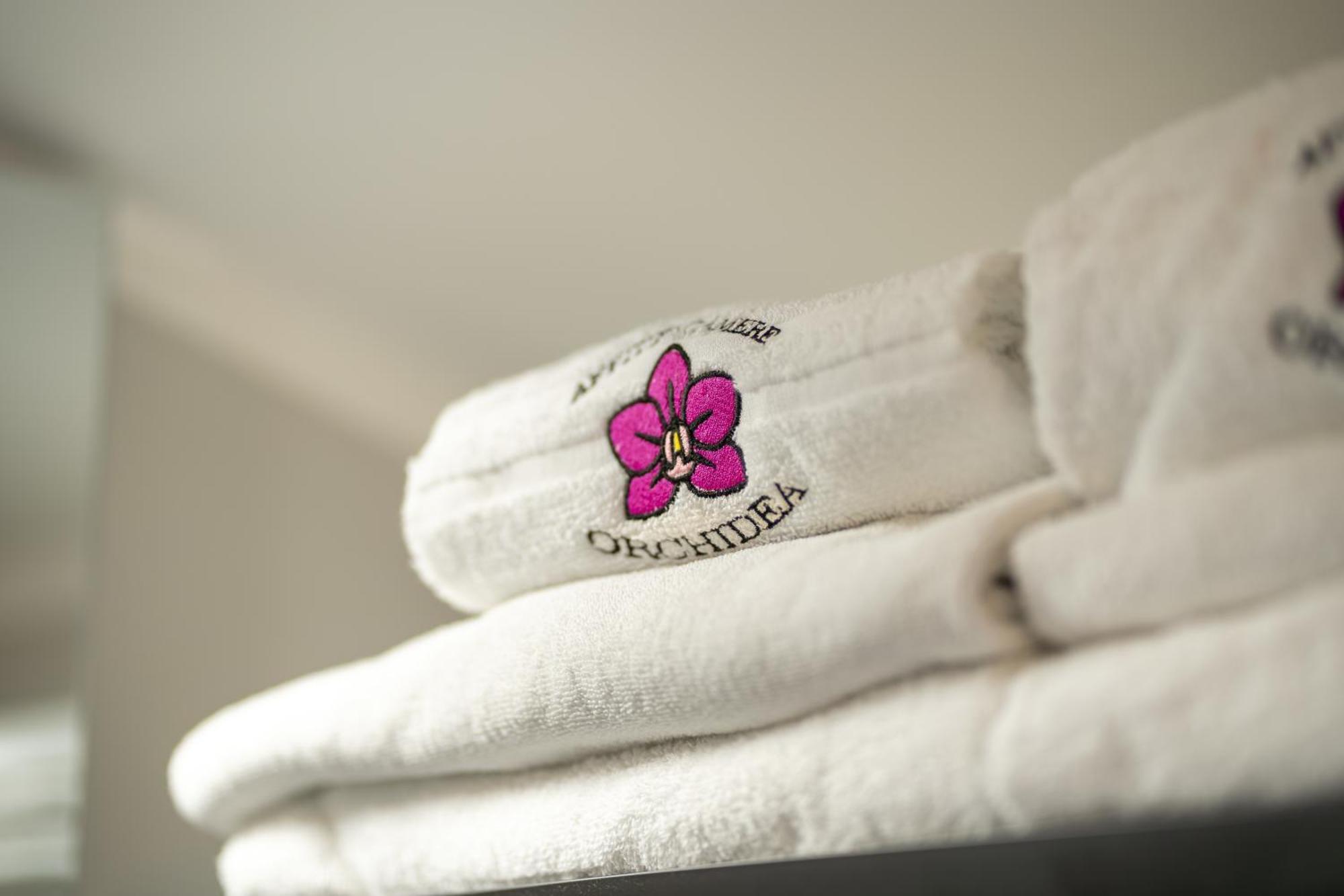 Orchidea *